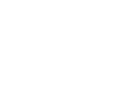 WealthOptic financial planning software logo white